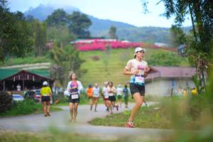 BIB: 
                            <button type="button" onclick="openModal(19194016)" class="btn btn-primary btn-sm float-right btn-popup" data-toggle="modal" data-target=".modal-high-quality">
                        <i class="fas fa-shopping-cart"></i> Add to Cart
                    </button>
                                            <button type="button" onclick="isThisMe(19194016, true)" class="btn btn-success btn-sm float-right btn-popup btn-isme hidden" data-toggle="tooltip" data-placement="bottom" title="นี่คือรูปของคุณใช่ไหม คลิกที่นี่เพื่อเอาเข้าอัลบั้ม">
                        <i class="fas fa-plus"></i> Add to album
                    </button>
                    <button type="button" onclick="isThisMe(19194016, false)" class="btn btn-warning btn-sm float-right btn-popup btn-isnotme hidden">
                        <i class="fas fa-ban"></i> Remove from album
                    </button>